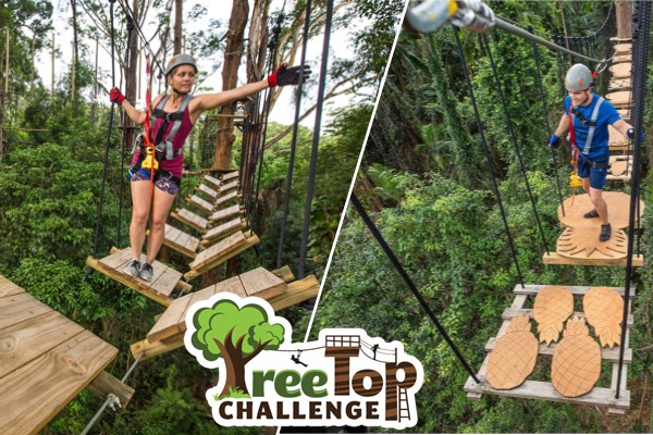 Treetop Challenge Sunshine Coast